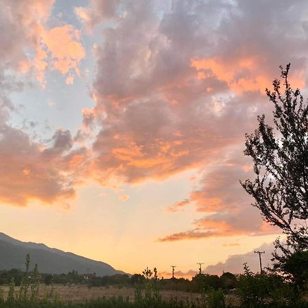 Οlives And Vines All Seasons Villa Λιτόχωρο Εξωτερικό φωτογραφία